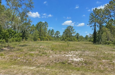15877 SW 484